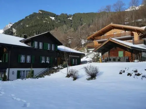 Apartment Schwendihus.1