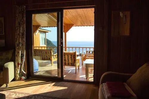 Tree Houses Hotel