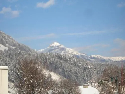 Appartement Hollaus