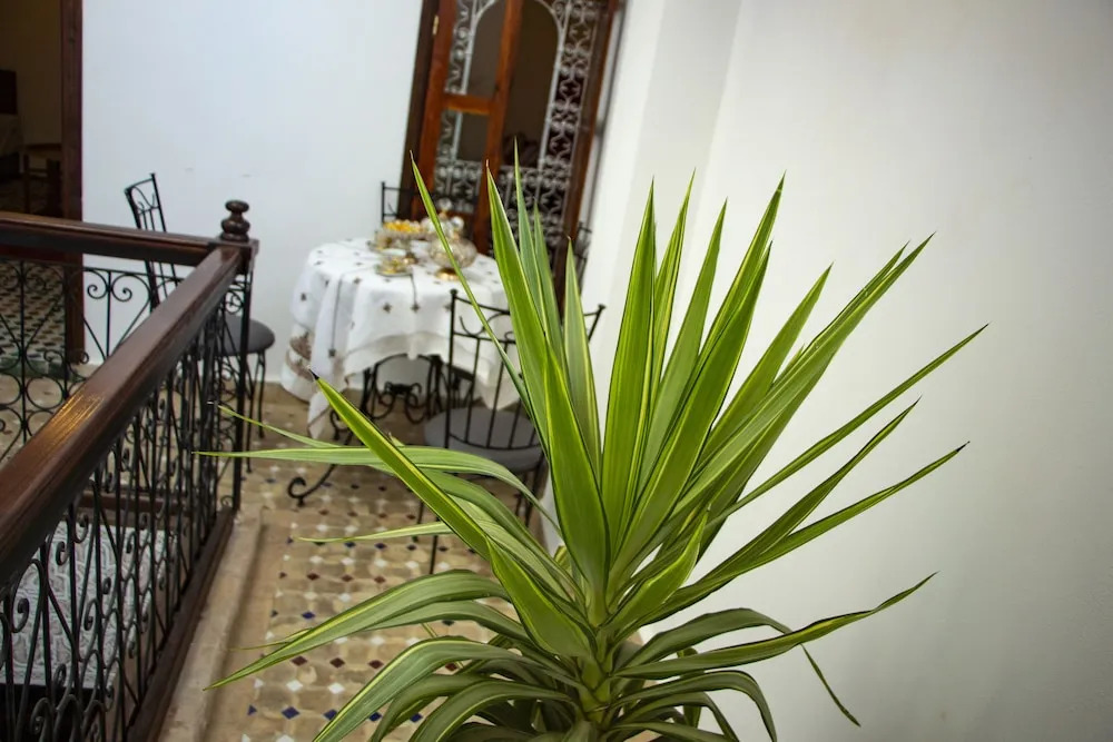 Riad Dar Senhaji