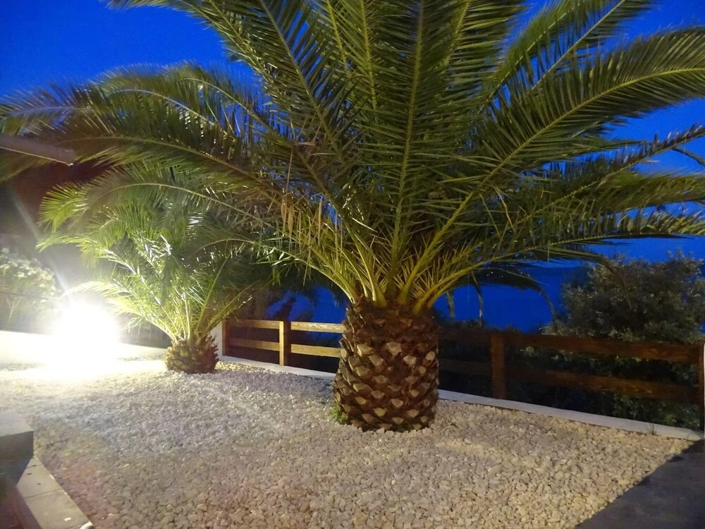 Villa am Meer für 12 Personen mit Pool