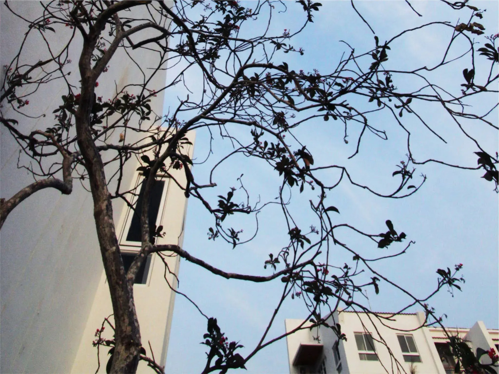 Bay Forest Boutique B&B