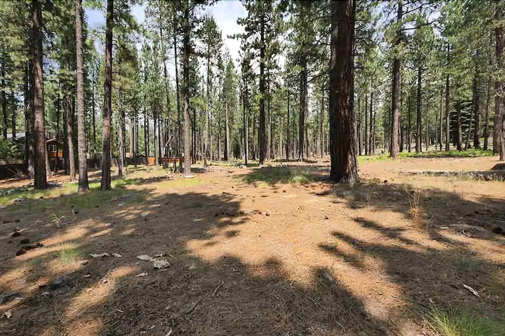 1519 Walkup 3 Bedroom Cabin