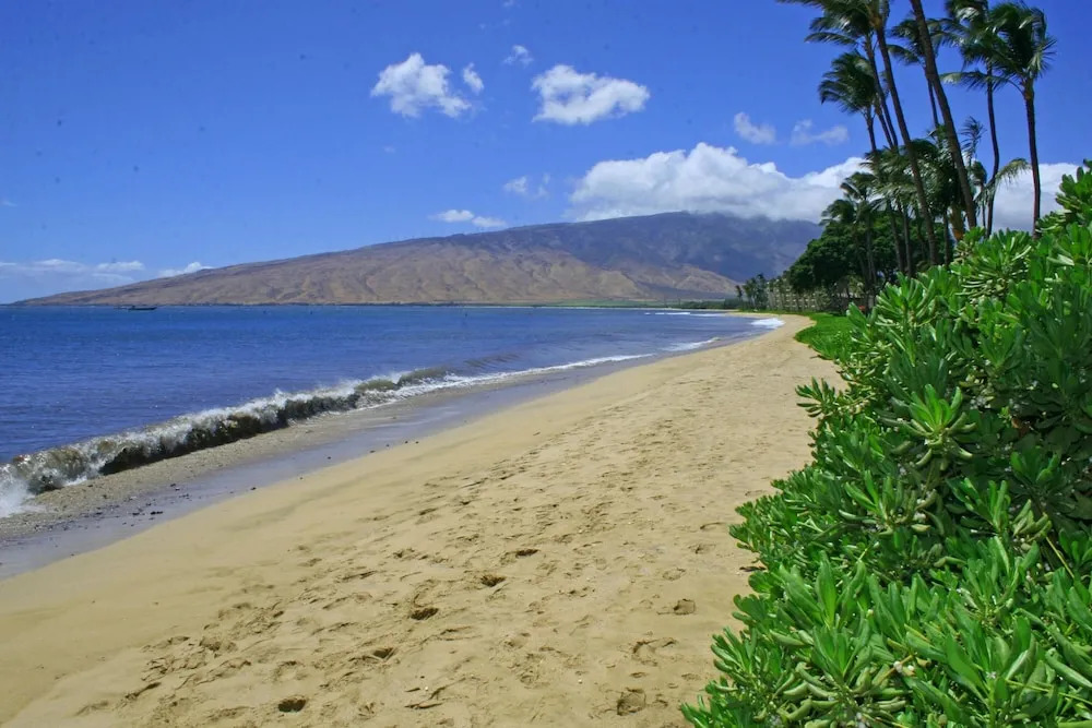 Kihei Beach #405 by Ali'i Resorts