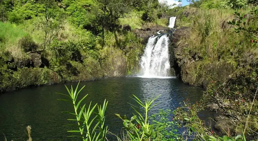 Three Bedroom at Buddhas Cup Retreat at Lelekaae Falls