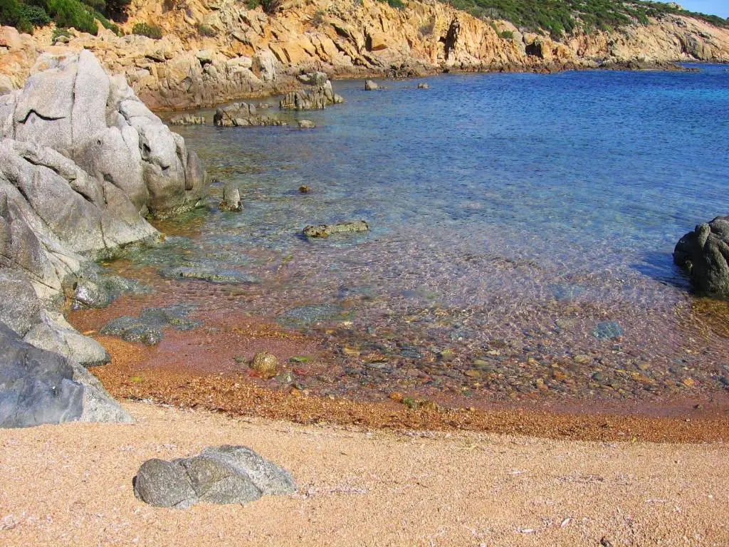 Gangdigiorgia