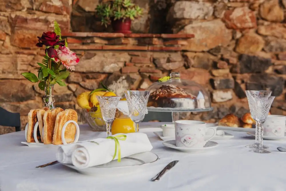Masia Can Viver - Olive oil tourism B&B
