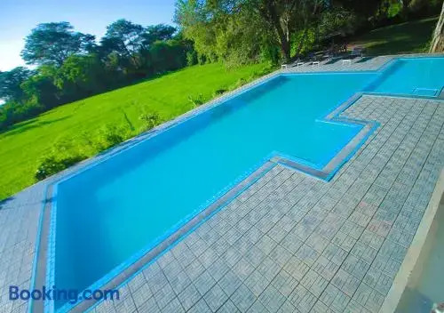 Bird Scenery