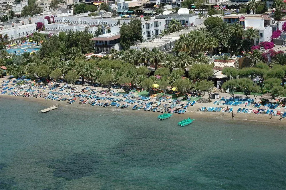 Sami Plaza