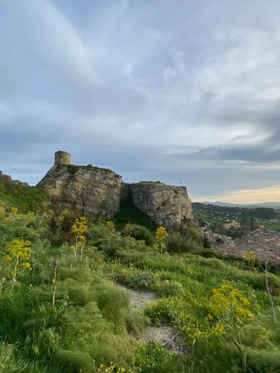 La Ginestra