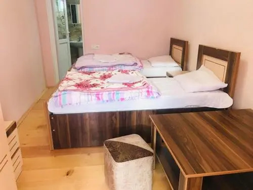Guesthouse "Girgvliani"