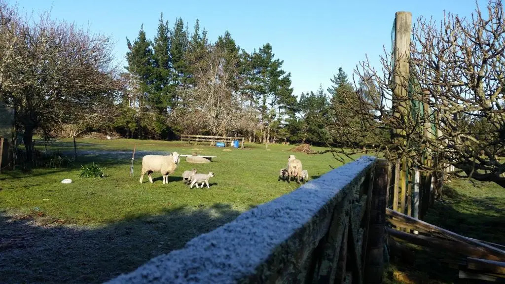 Woodbury Farm
