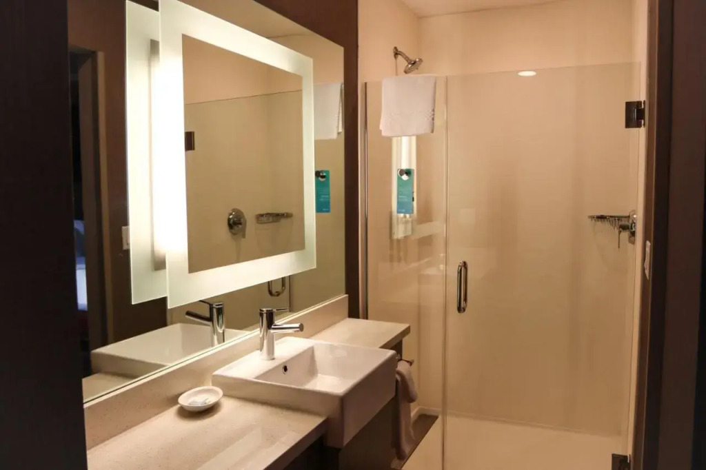 Springhill Suites By Marriott Baltimore White Marsh/middle River