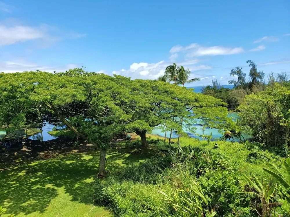 Mauna Loa Shores