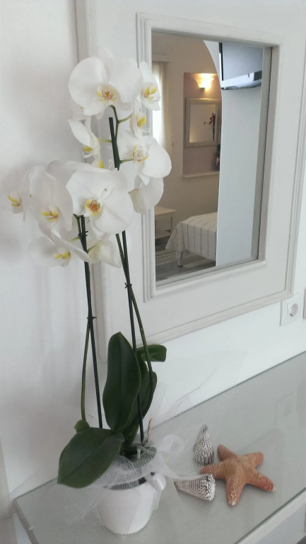Hotel Cyclades