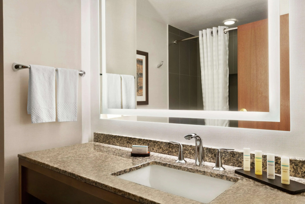Embassy Suites Dallas - DFW Airport North
