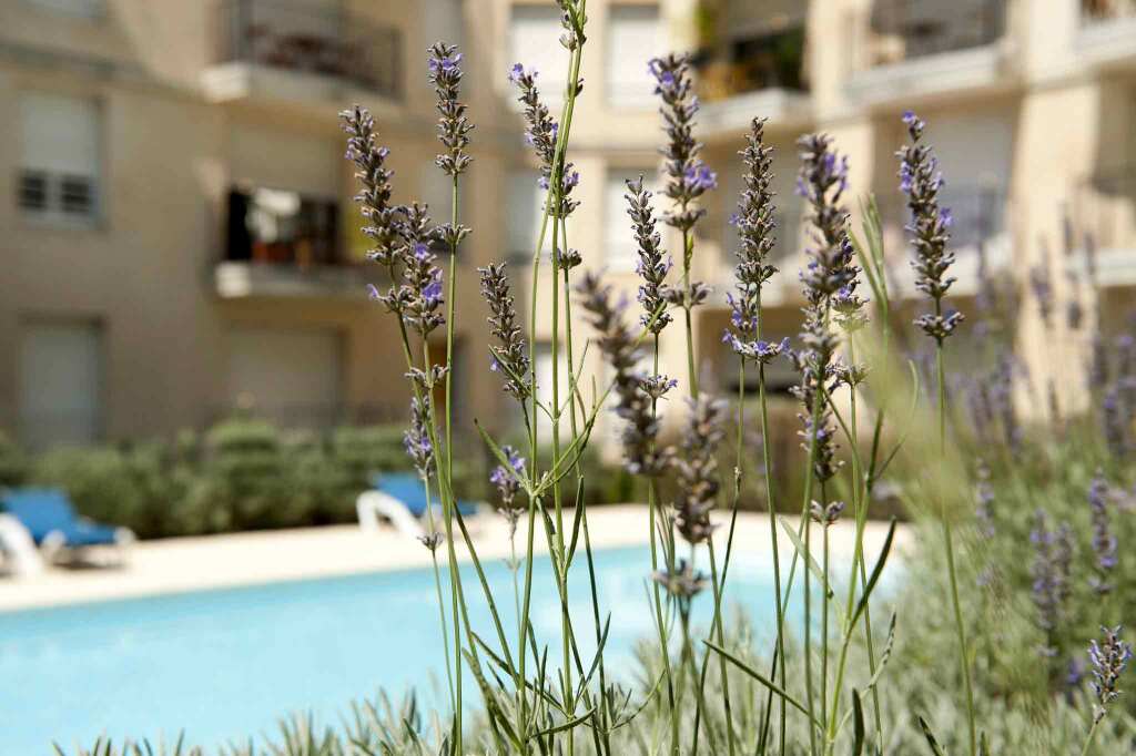 Aparthotel Adagio Access Bordeaux Rodesse