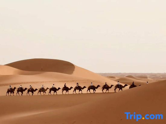 Stay overnight at the Desert Lakeside Camping Hotel