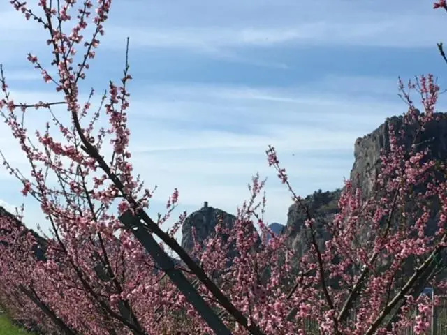 Appartamenti Maso Giare