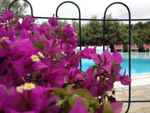 Aparthotel 3 Stars Marina Di Camerota