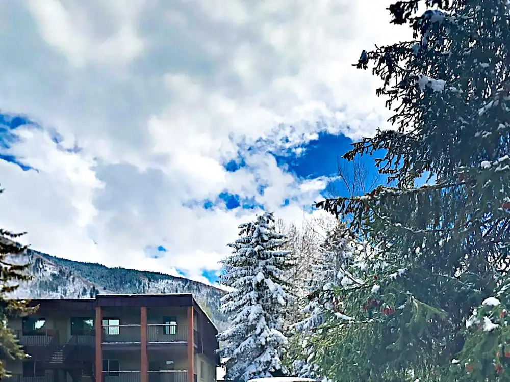 940 Waters Ave Condo Unit 101 - 2 Br condo by RedAwning