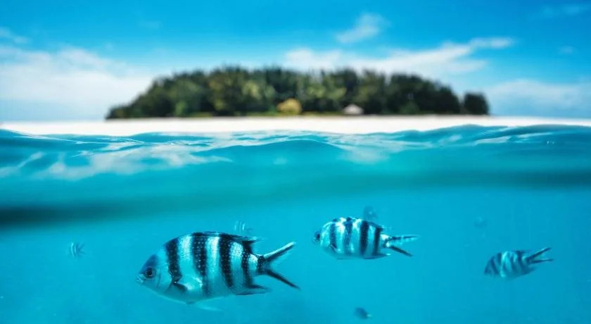 Next Paradise Boutique Resort
