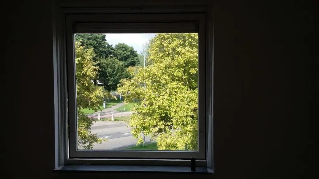 Little Amsterdam