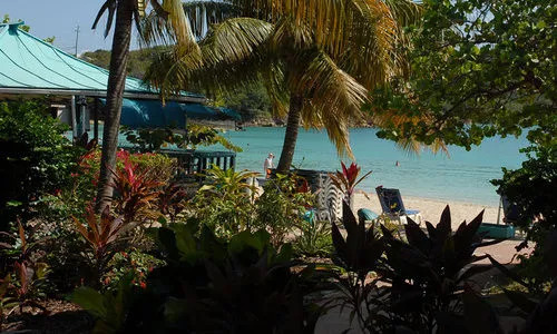 Island Beach Comber