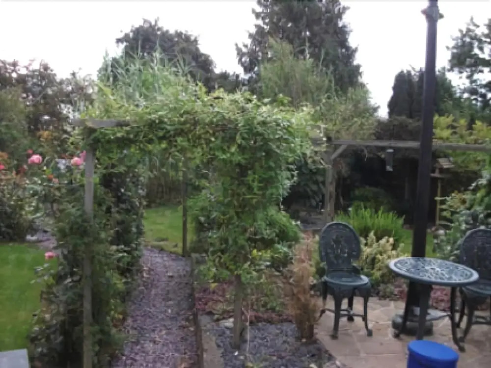 Holly Tree Cottage
