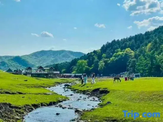 Yichun Dasha Hotel (Xing'an National Forest Park)