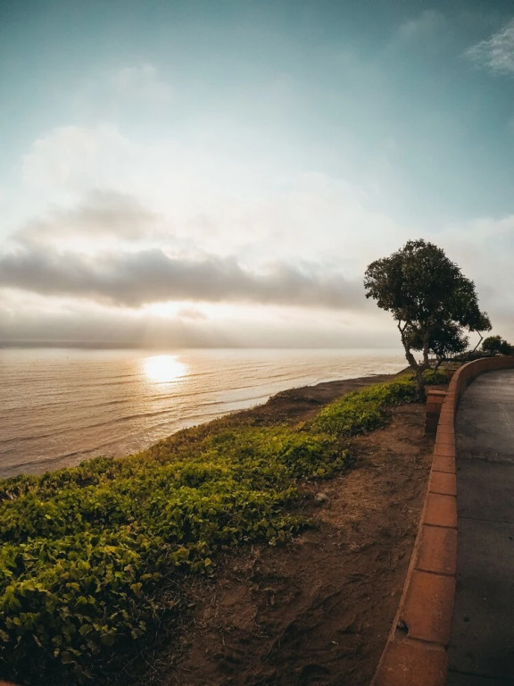 Miraflores View