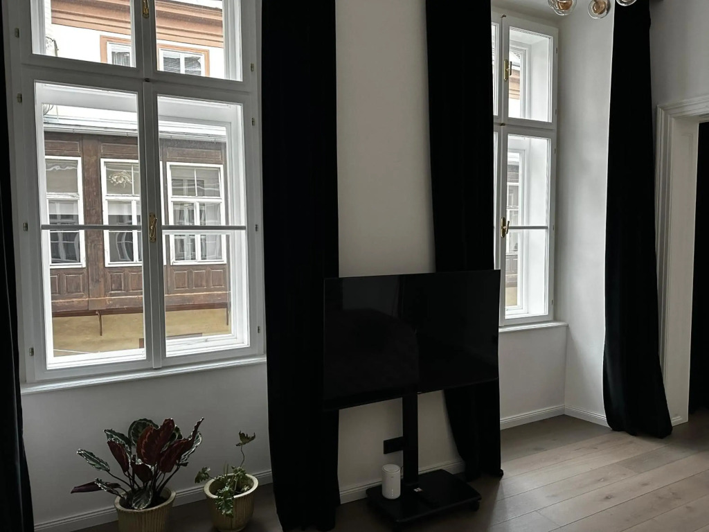 Luxury City Apartment Downtown Vienna