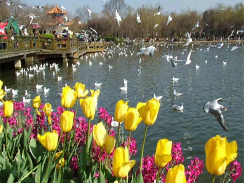 Yunnan Jizhou Hotel