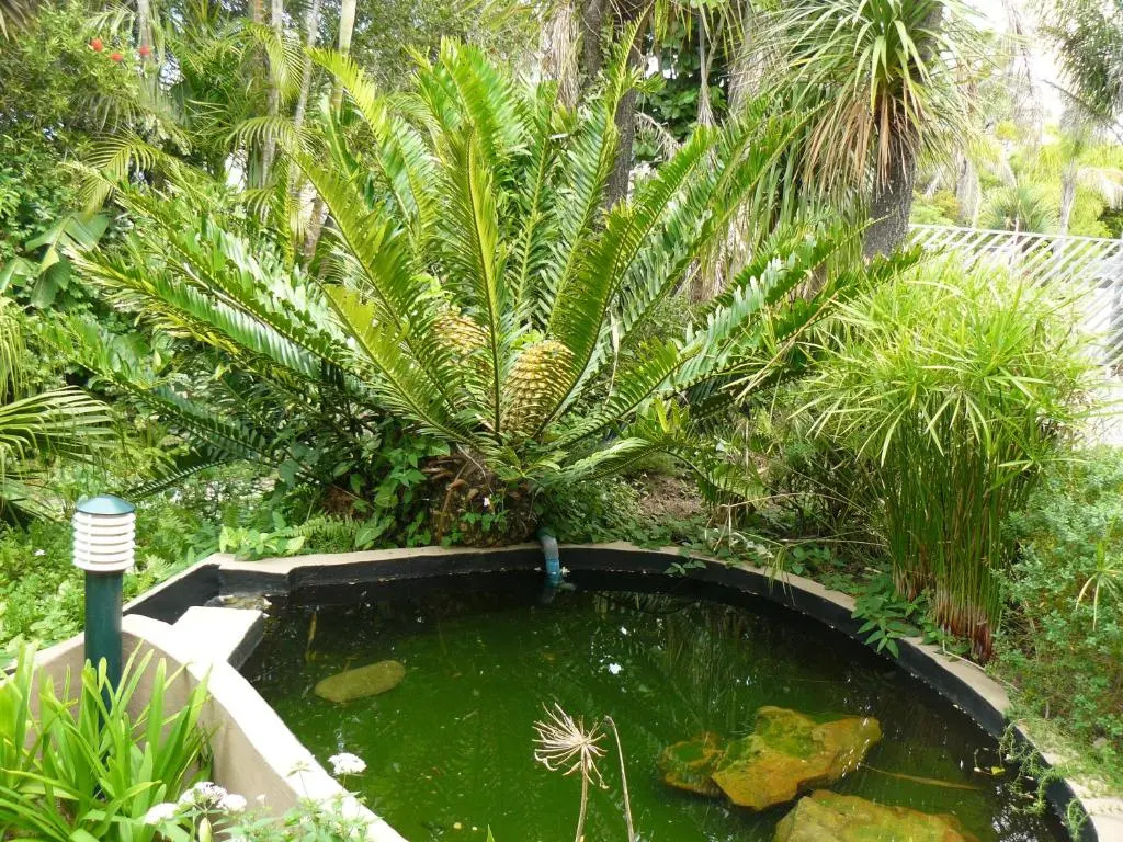 See More Guest House