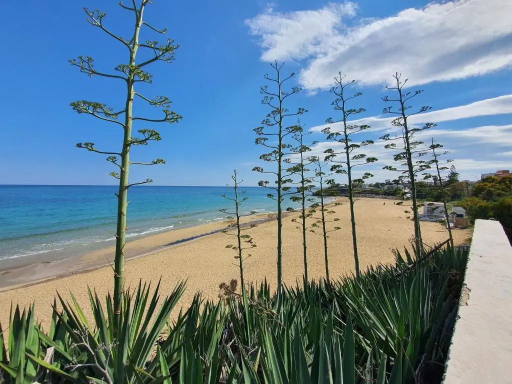 Villa Mare Pantenello, 80 metri dalla Spiaggia