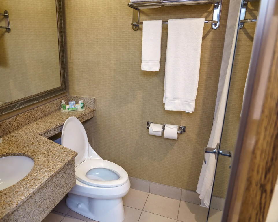 Holiday Inn New Orleans-Downtown Superdome by IHG