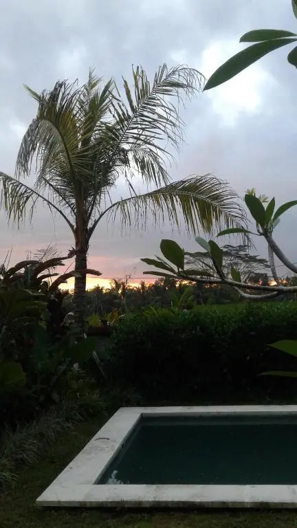 Thani Villa Ubud