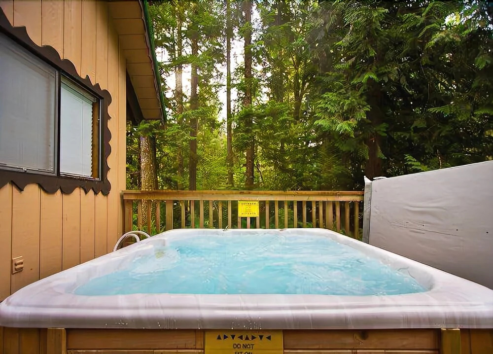 Mt. Baker Lodging Cabin 22 – WiFi, Pets OK, Sleeps 8! by MBL