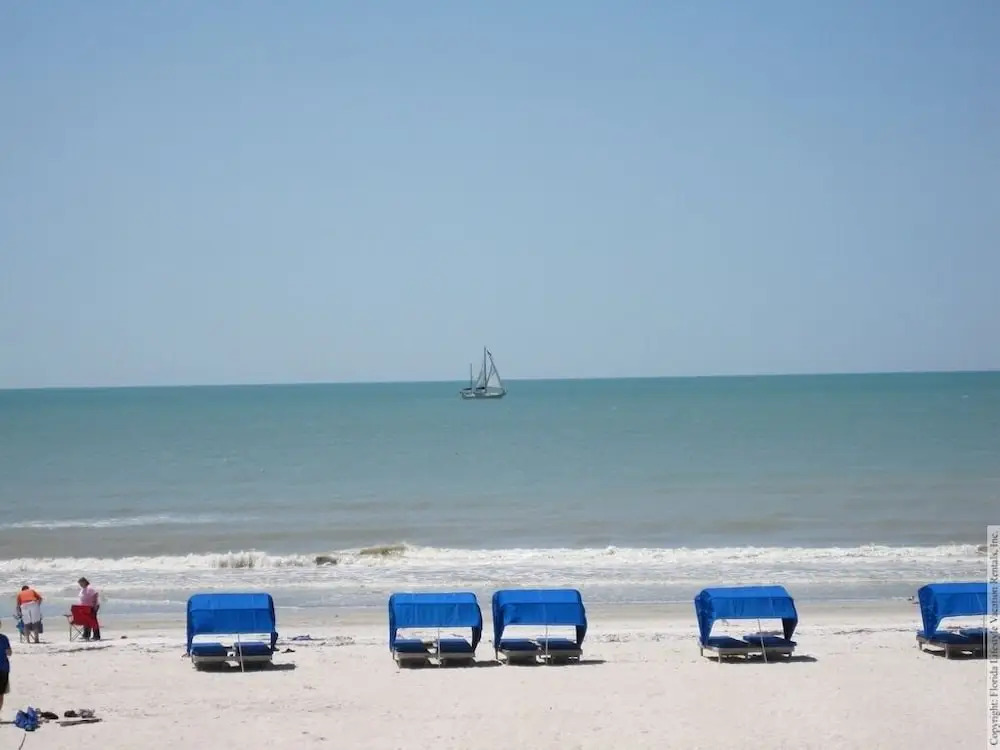 Beach Palms 109