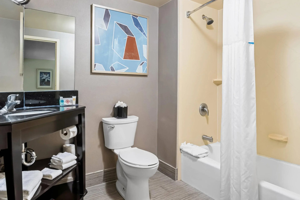 Comfort Inn Cadillac