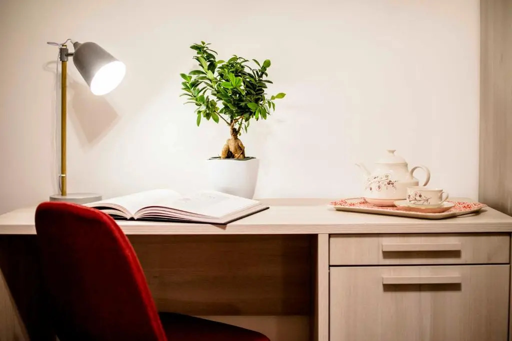 Tetide Home