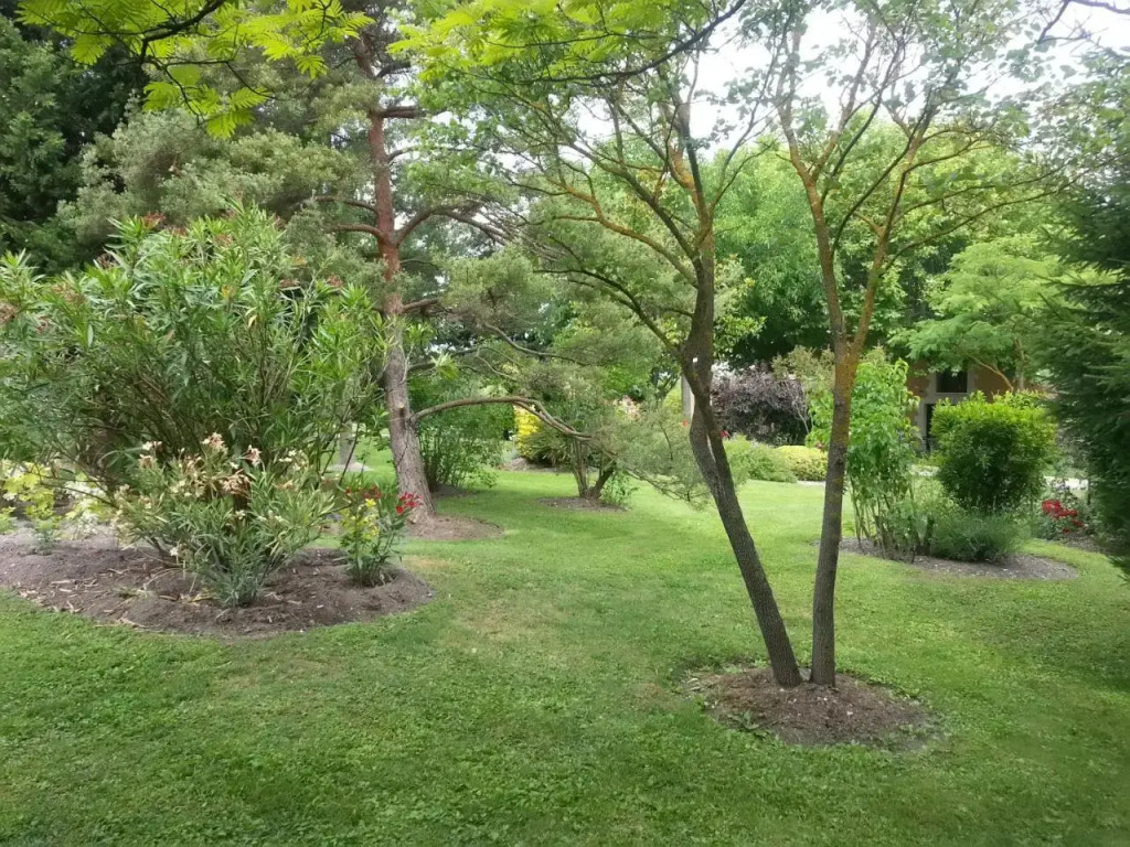 LE JARDIN PROVENçAL 1