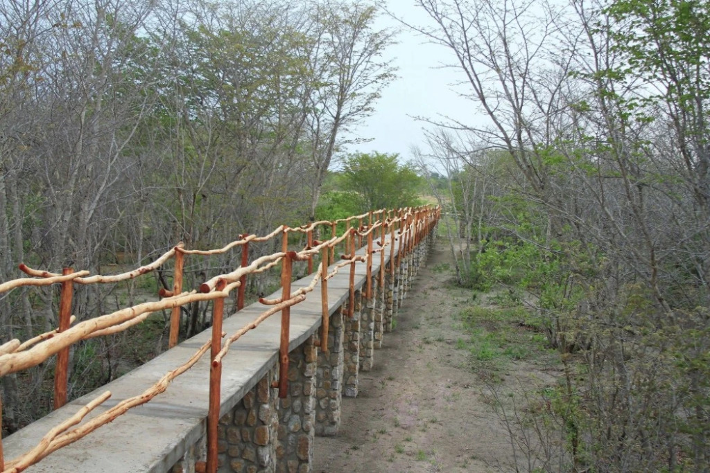 Gwango Elephant Lodge