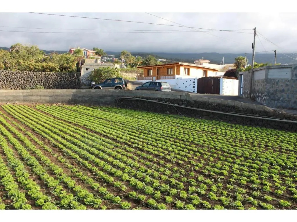 Apartamento las Viñas 1