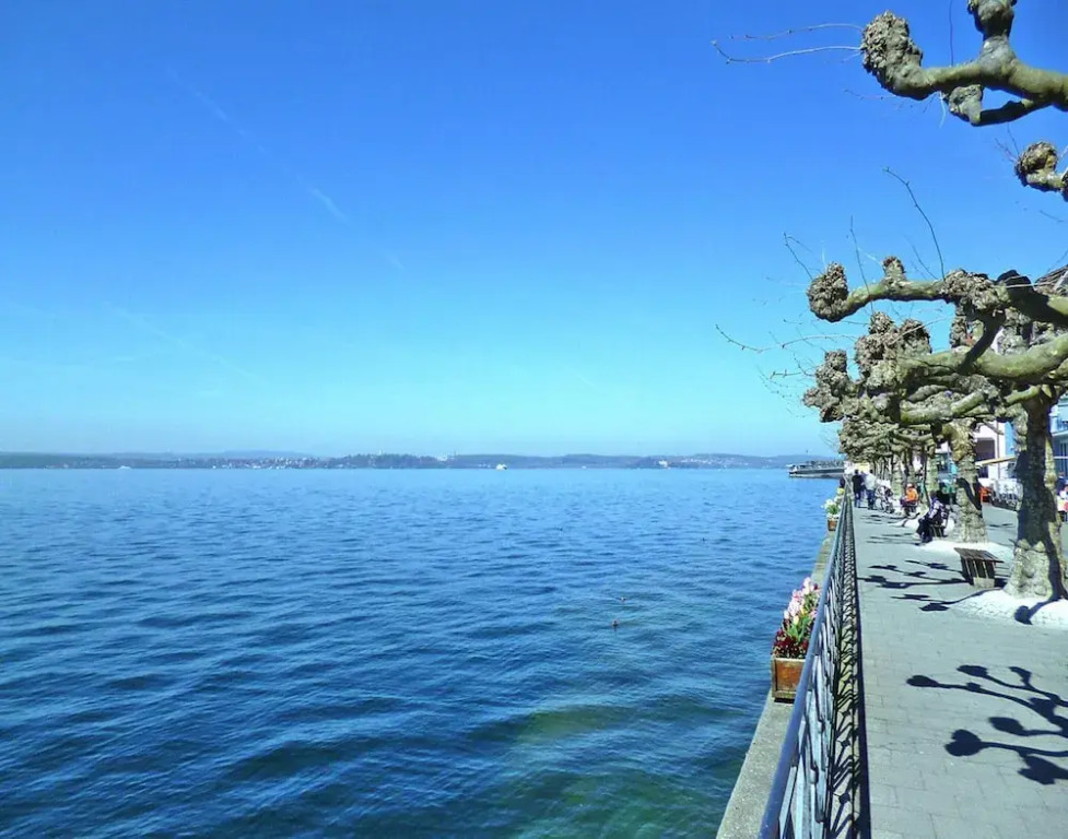 Apartment Bears, Meersburg