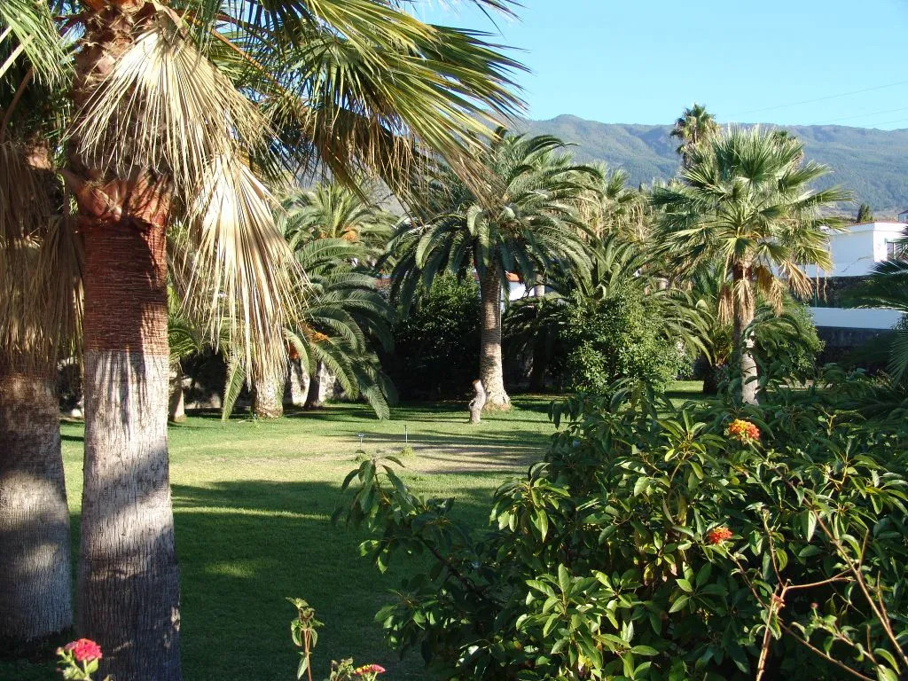 La Plantación