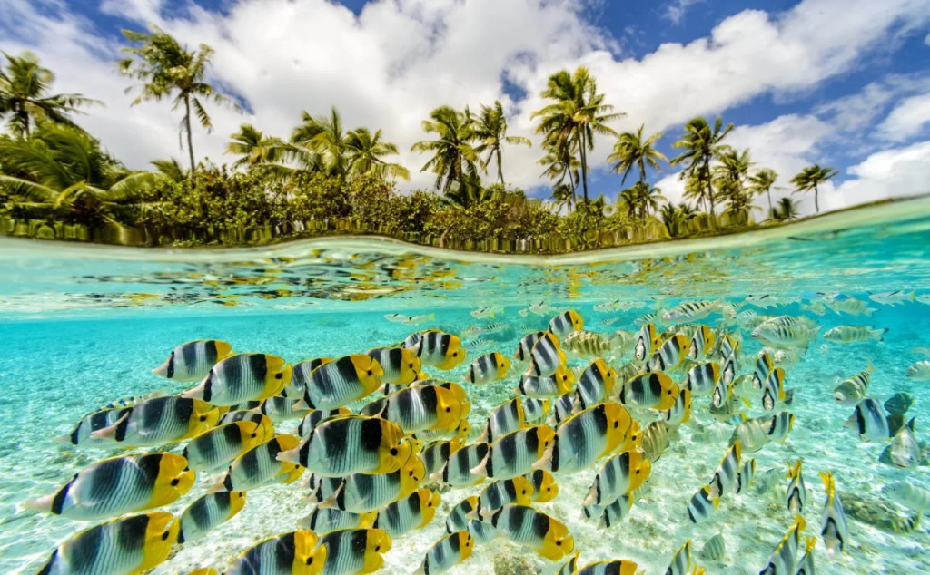 Le Tahaa by Pearl Resorts