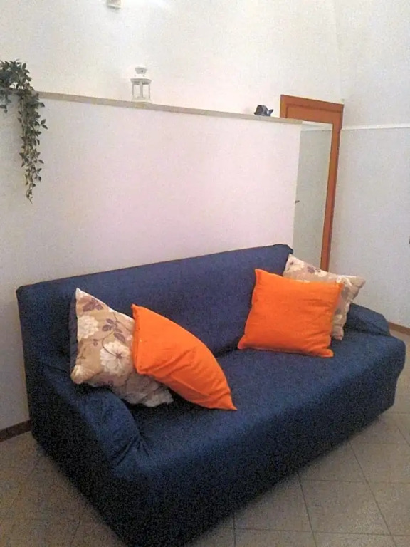 Cassiopea