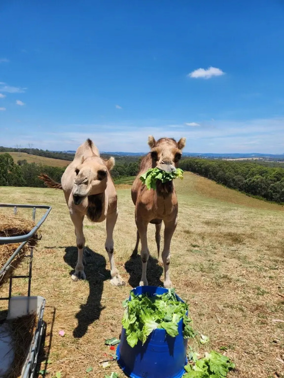 Valley Views BNB