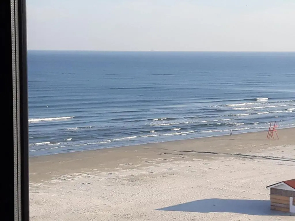 Sandy beach 1